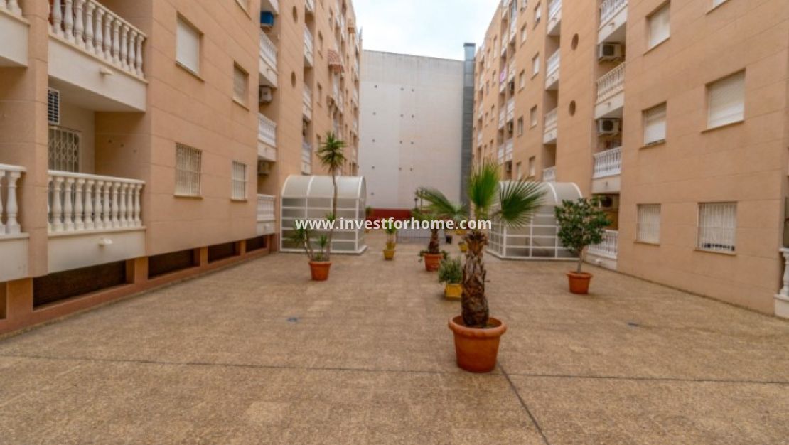 Reventa - Apartamento - Torrevieja - Costa Blanca