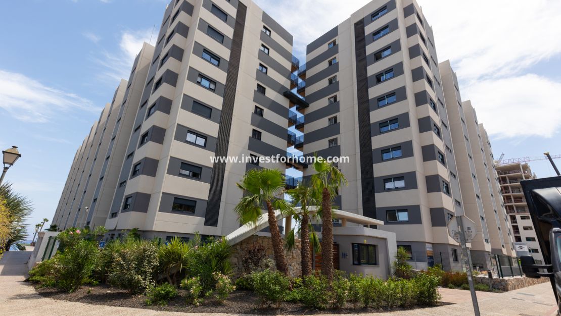Reventa - Apartamento - Torrevieja - Costa Blanca