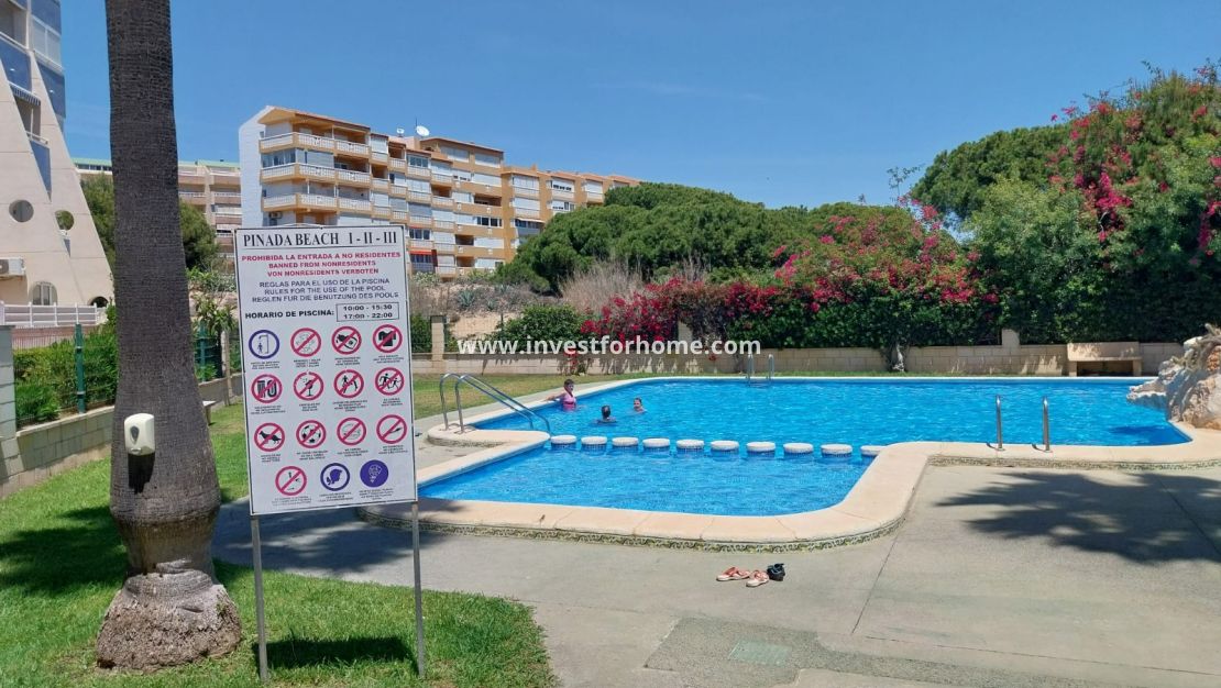 Reventa - Apartamento - Torrevieja - Costa Blanca