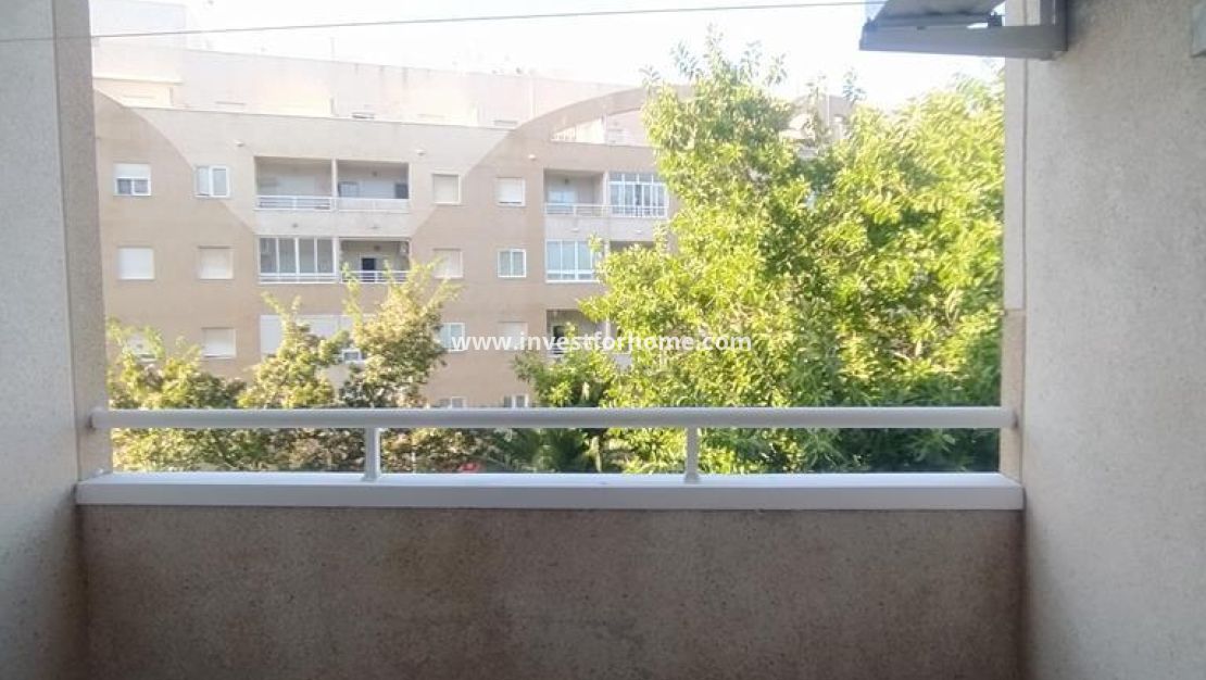 Reventa - Apartamento - Torrevieja - El Molino