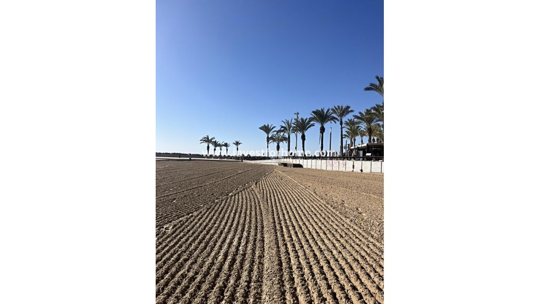 Reventa - Apartamento - Torrevieja - Estacion De Autobuses