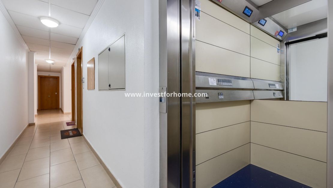 Reventa - Apartamento - Torrevieja - Estacion De Autobuses