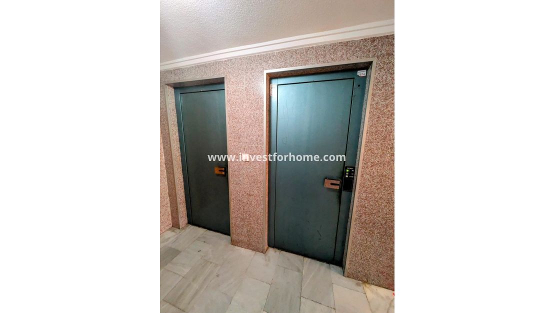 Reventa - Apartamento - Torrevieja - Estacion De Autobuses