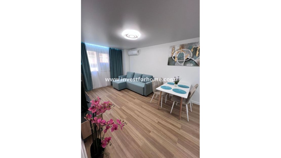 Reventa - Apartamento - Torrevieja - Estacion De Autobuses