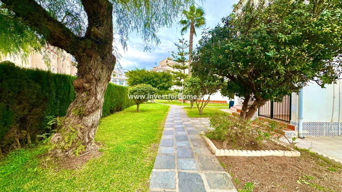 Reventa - Apartamento - Torrevieja - Estacion De Autobuses