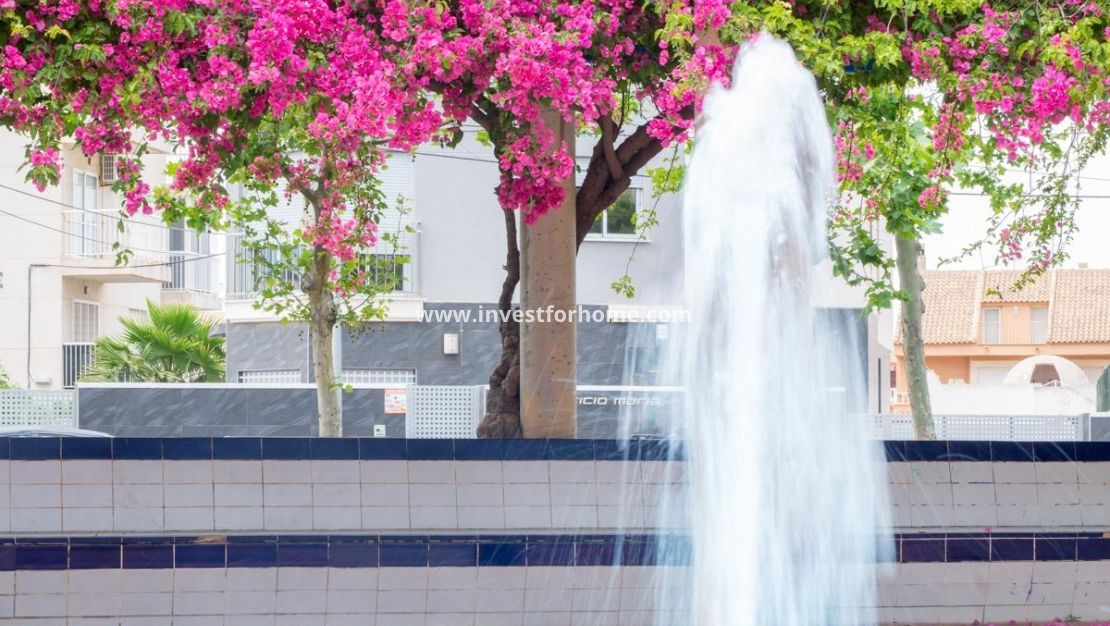 Reventa - Apartamento - Torrevieja - Estacion De Autobuses