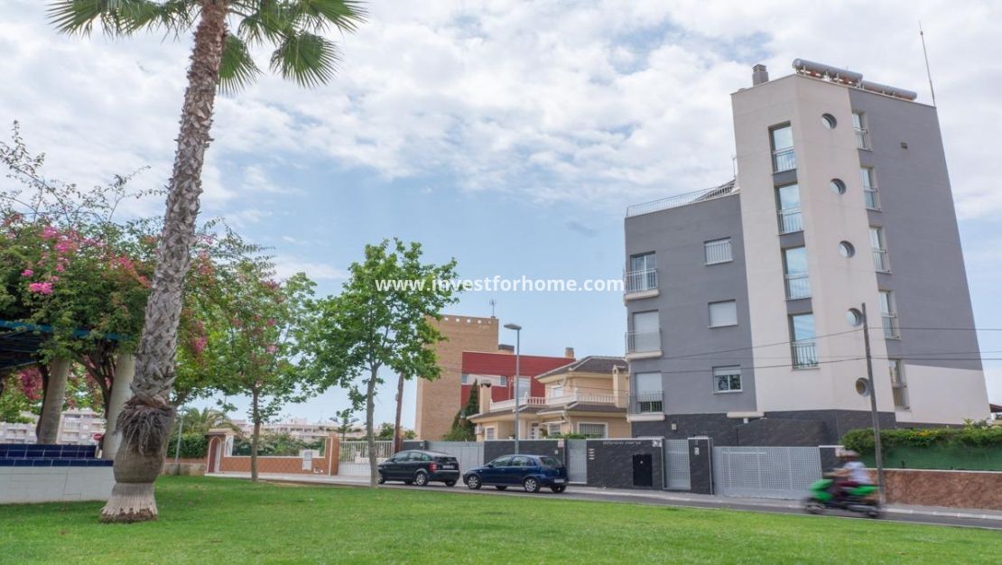 Reventa - Apartamento - Torrevieja - Estacion De Autobuses