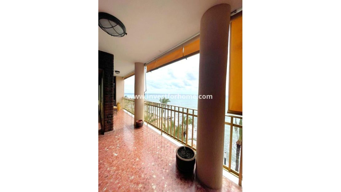 Reventa - Apartamento - Torrevieja - Estacion De Autobuses