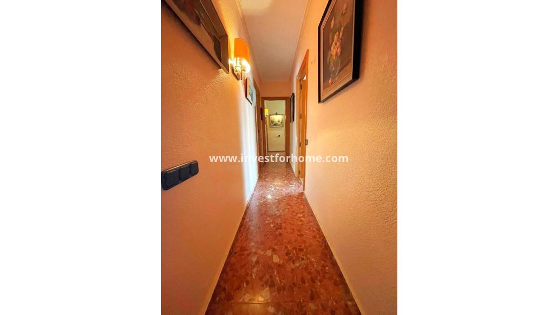 Reventa - Apartamento - Torrevieja - Estacion De Autobuses