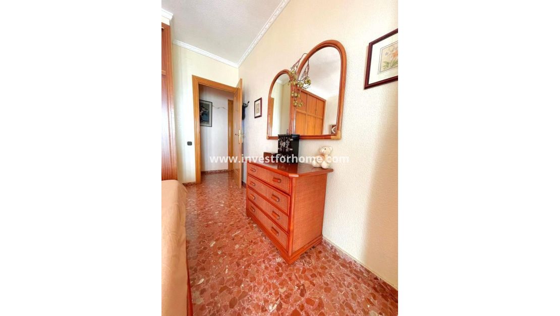 Reventa - Apartamento - Torrevieja - Estacion De Autobuses