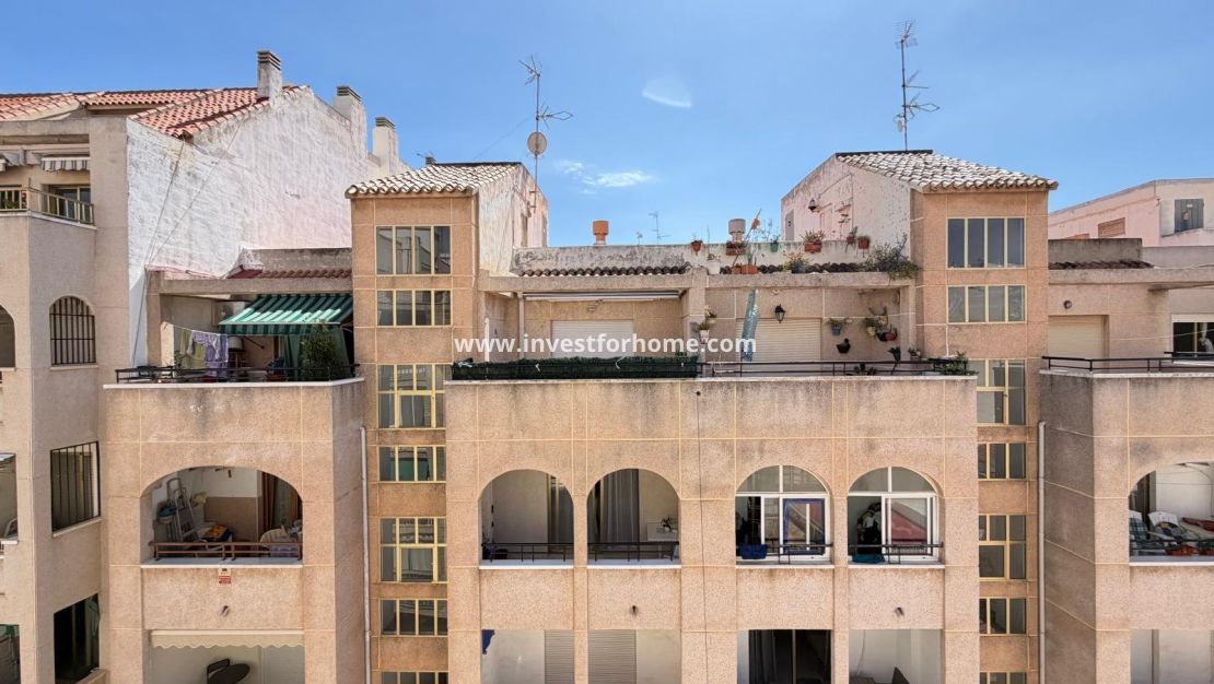 Reventa - Apartamento - Torrevieja - Estacion De Autobuses