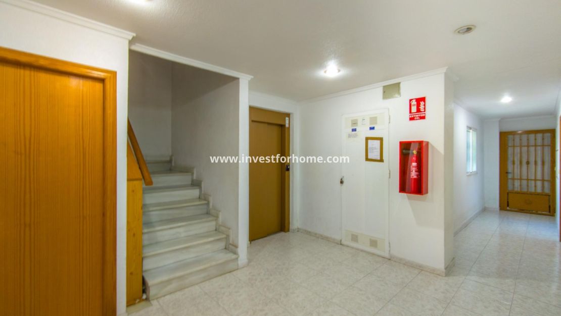 Reventa - Apartamento - Torrevieja - Estacion De Autobuses