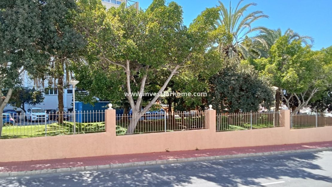 Reventa - Apartamento - Torrevieja - Estacion De Autobuses