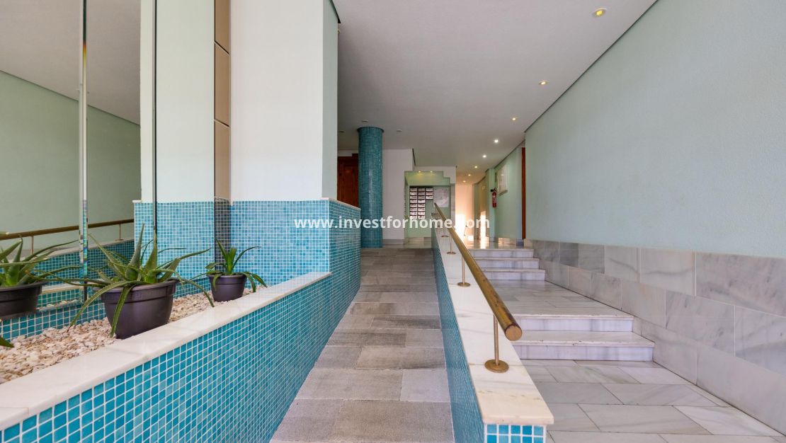 Reventa - Apartamento - Torrevieja - Estacion De Autobuses