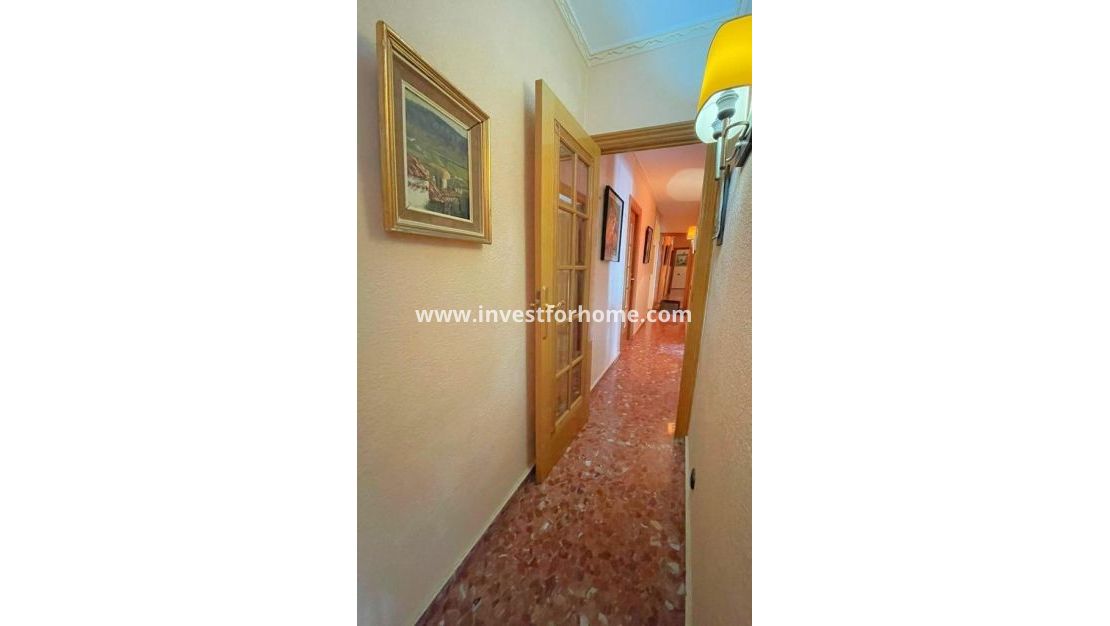 Reventa - Apartamento - Torrevieja - Estacion De Autobuses