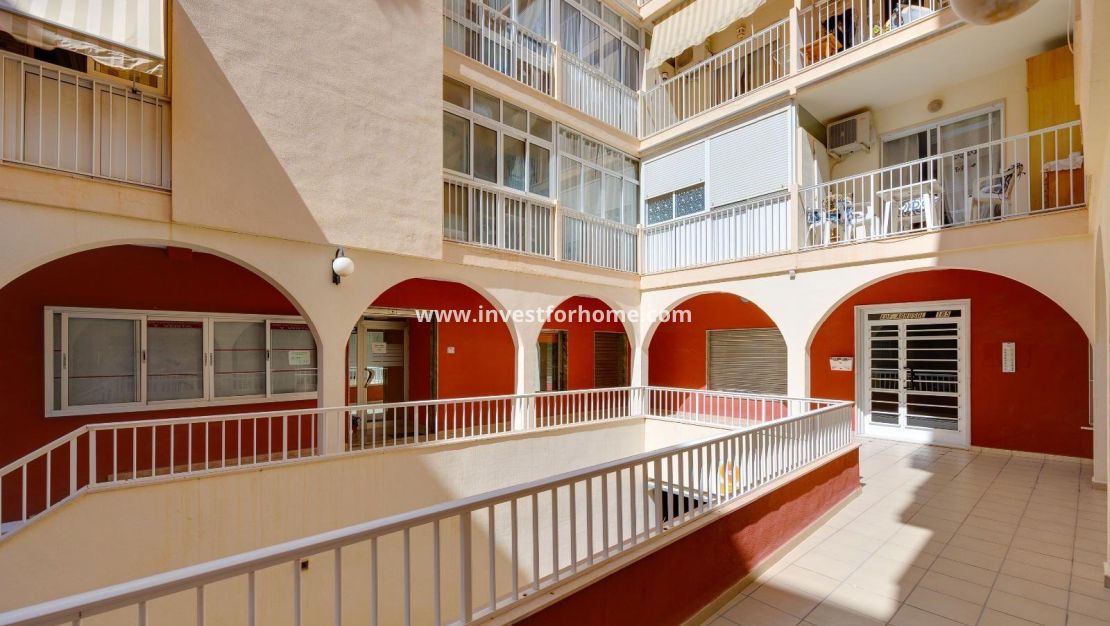 Reventa - Apartamento - Torrevieja - Estacion De Autobuses