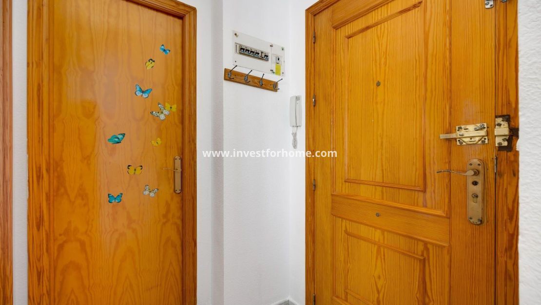Reventa - Apartamento - Torrevieja - Estacion De Autobuses