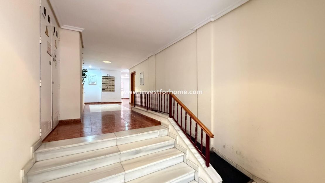Reventa - Apartamento - Torrevieja - Estacion De Autobuses
