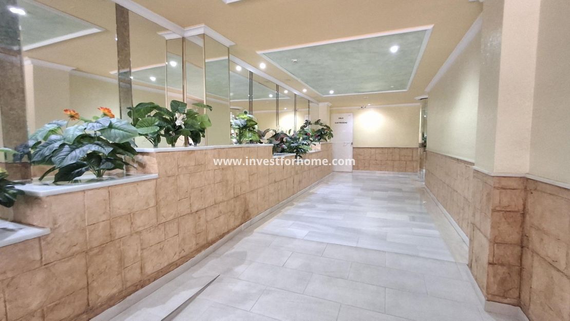 Reventa - Apartamento - Torrevieja - Estacion De Autobuses