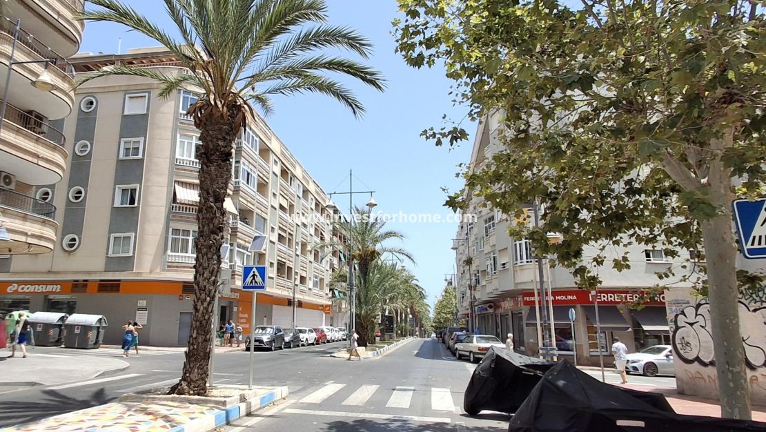 Reventa - Apartamento - Torrevieja - Estacion De Autobuses