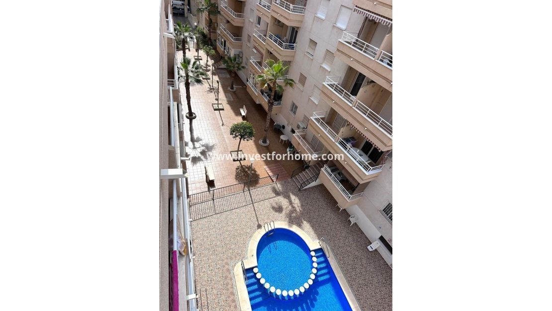 Reventa - Apartamento - Torrevieja - Estacion De Autobuses