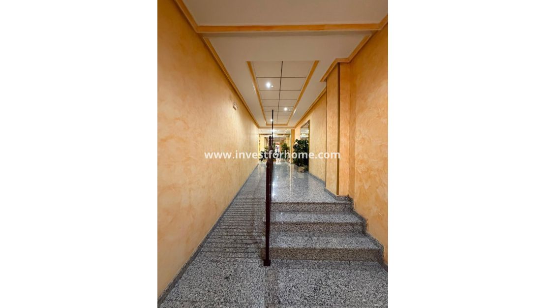 Reventa - Apartamento - Torrevieja - Estacion De Autobuses