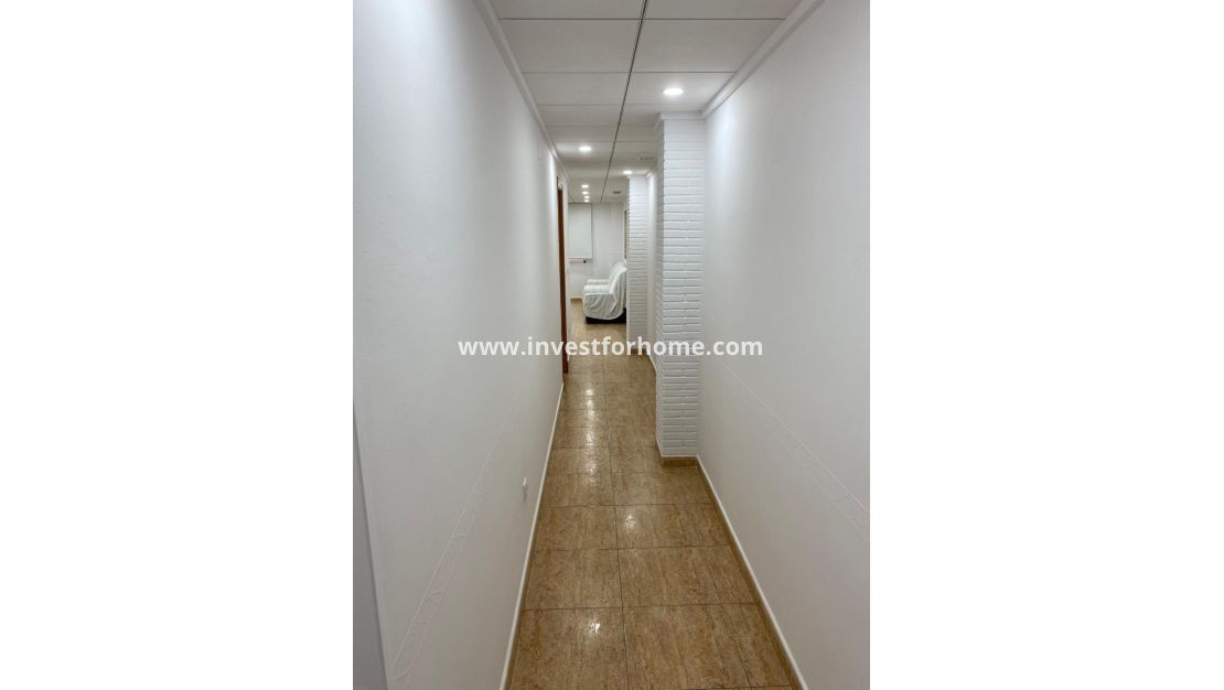 Reventa - Apartamento - Torrevieja - Estacion De Autobuses