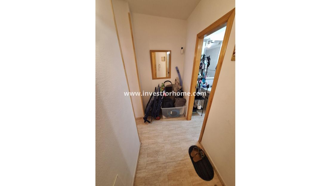 Reventa - Apartamento - Torrevieja - Estacion De Autobuses