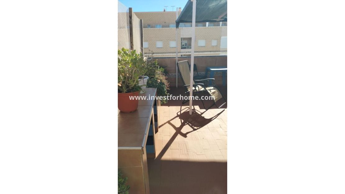 Reventa - Apartamento - Torrevieja - Gaspar Perrelló