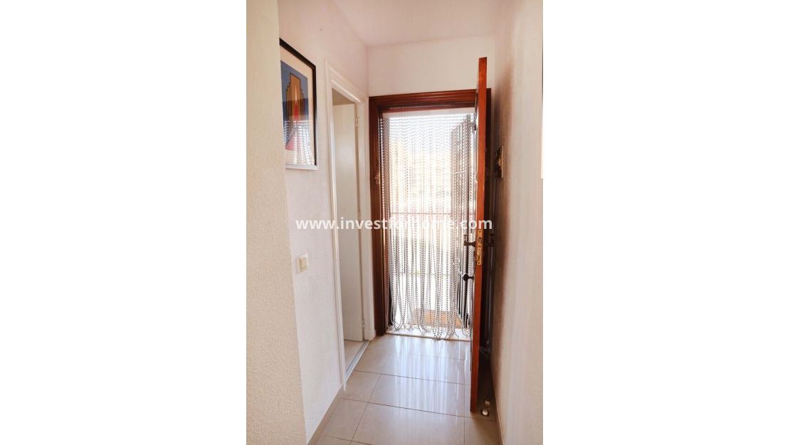 Reventa - Apartamento - Torrevieja - La Veleta, Mar Azul