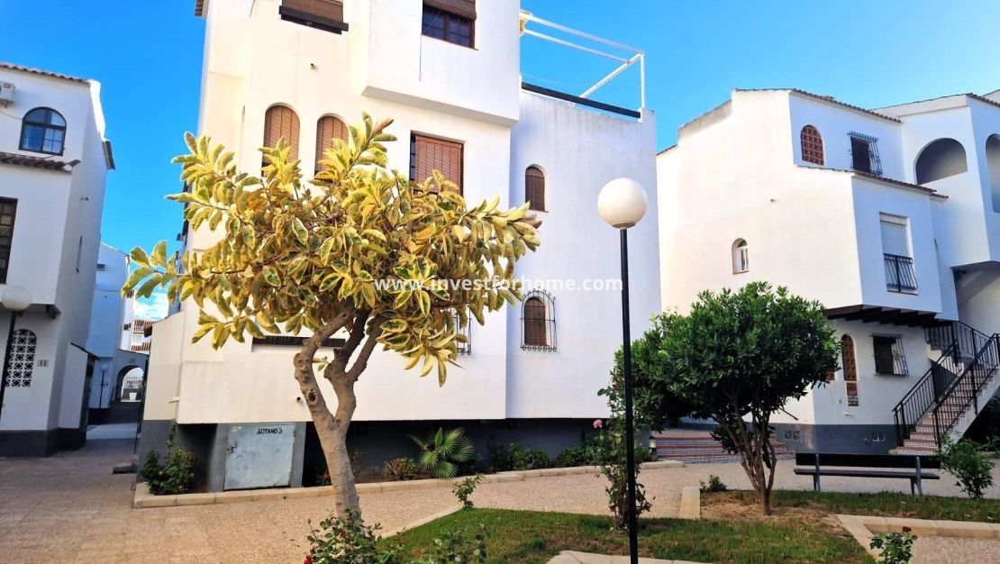 Reventa - Apartamento - Torrevieja - La Veleta