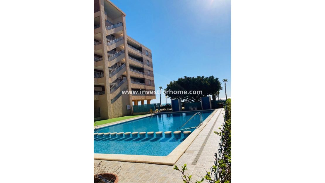 Reventa - Apartamento - Torrevieja - La Veleta