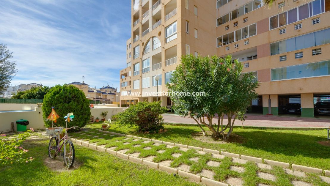 Reventa - Apartamento - Torrevieja - La Veleta