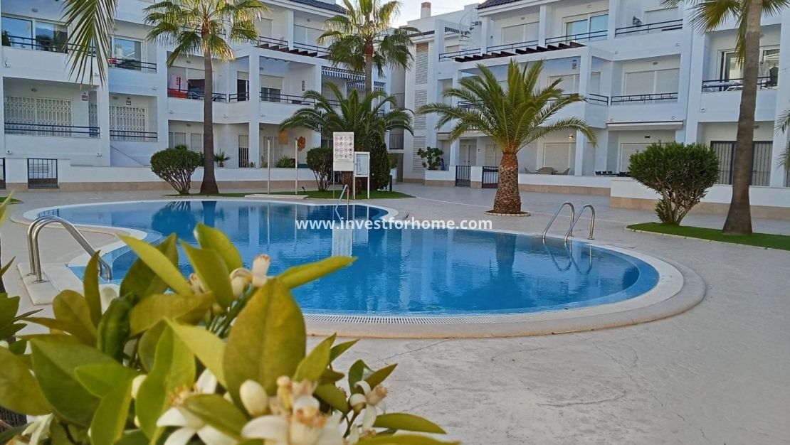 Reventa - Apartamento - Torrevieja - La Veleta