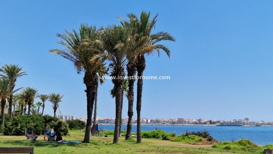 Reventa - Apartamento - Torrevieja - La Veleta