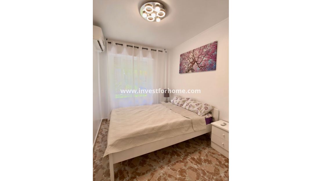 Reventa - Apartamento - Torrevieja - La veleta