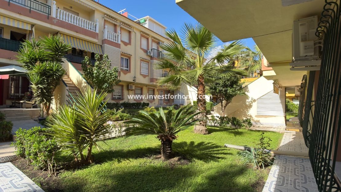 Reventa - Apartamento - Torrevieja - La veleta