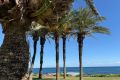 Reventa - Apartamento - Torrevieja - La veleta