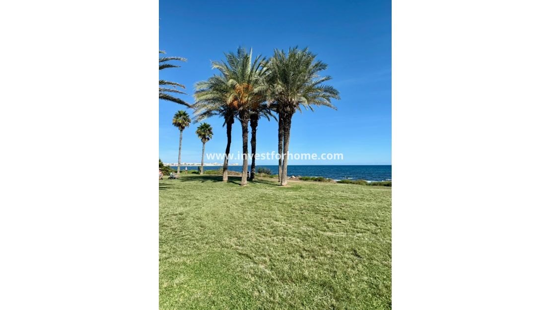 Reventa - Apartamento - Torrevieja - La veleta