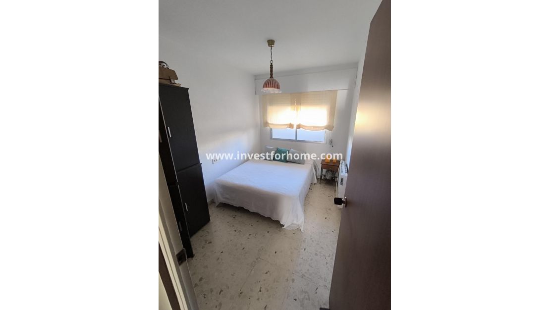 Reventa - Apartamento - Torrevieja - Las Piscinas Naturales
