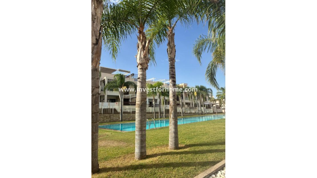 Reventa - Apartamento - Torrevieja - Los Balcones