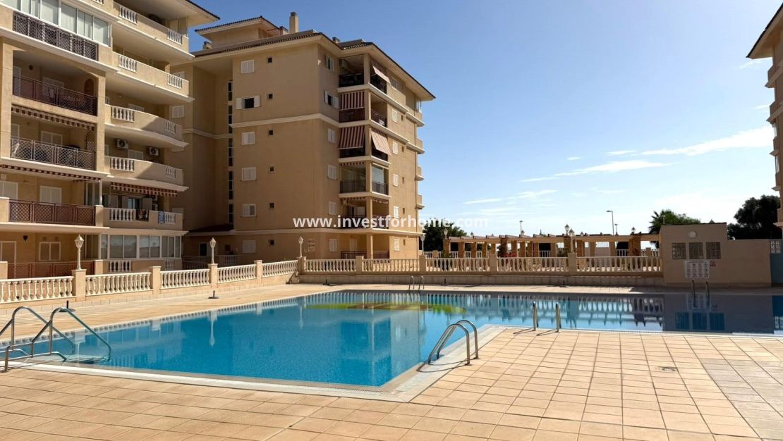 Reventa - Apartamento - Torrevieja - Los Europeos
