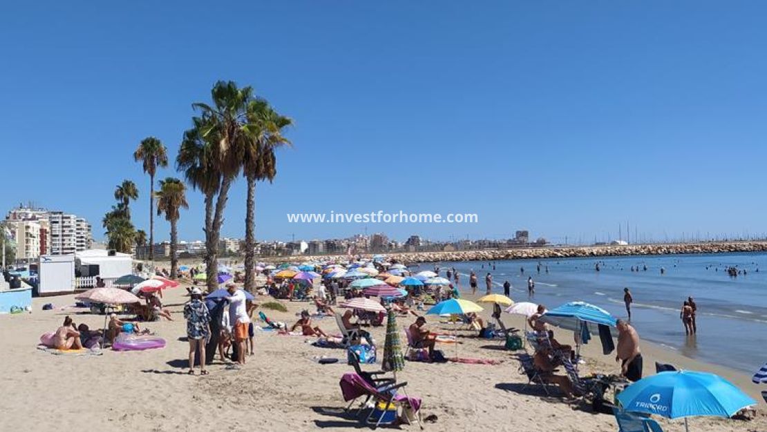 Reventa - Apartamento - Torrevieja - LOS NAUFRAGOS PLAYA
