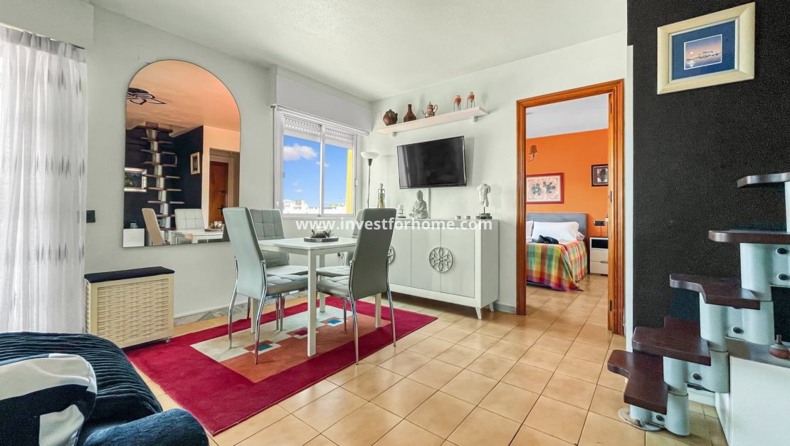 Reventa - Apartamento - Torrevieja - Mar Azul