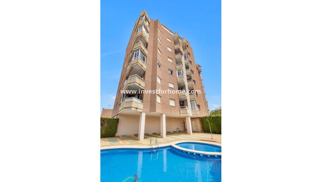 Reventa - Apartamento - Torrevieja - Nueva Torrevieja - Aguas Nuevas