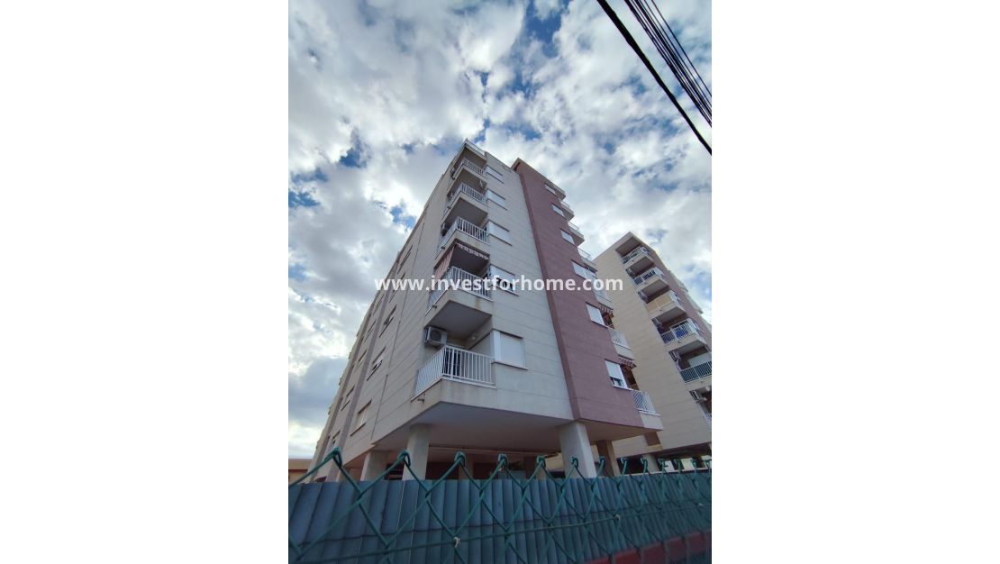 Reventa - Apartamento - Torrevieja - Nueva Torrevieja - Aguas Nuevas