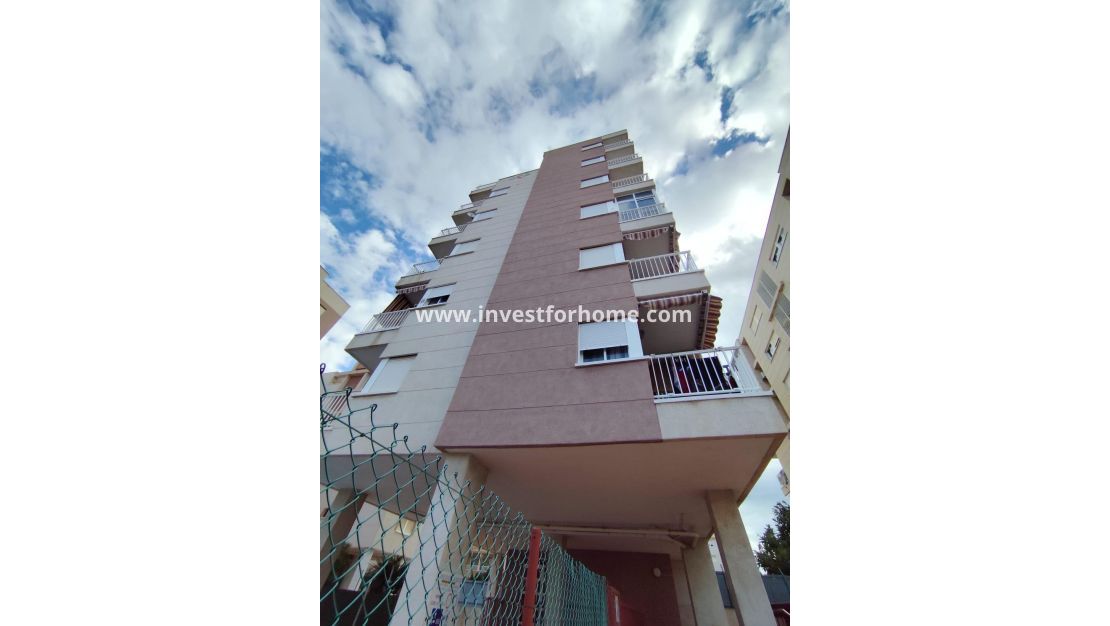 Reventa - Apartamento - Torrevieja - Nueva Torrevieja - Aguas Nuevas