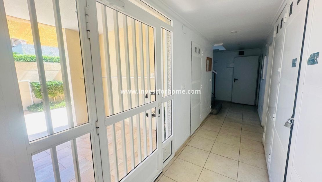 Reventa - Apartamento - Torrevieja - Nueva Torrevieja - Aguas Nuevas