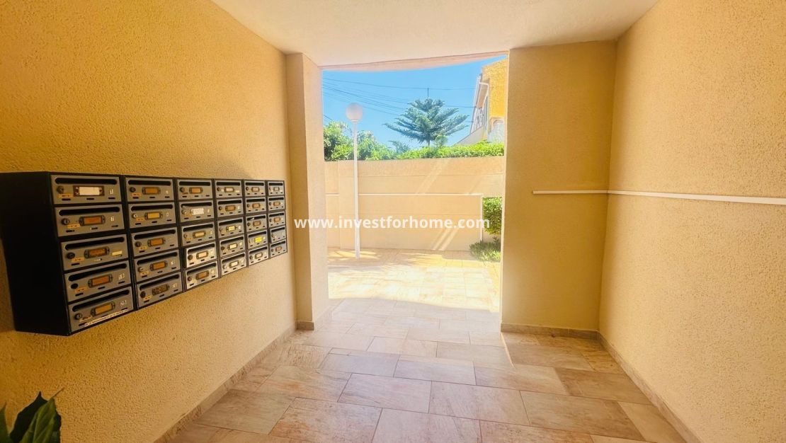 Reventa - Apartamento - Torrevieja - Nueva Torrevieja - Aguas Nuevas