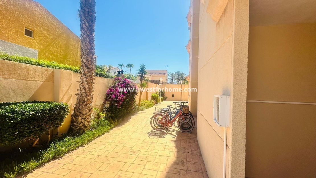 Reventa - Apartamento - Torrevieja - Nueva Torrevieja - Aguas Nuevas